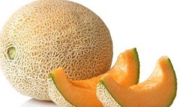 蝉吃不吃哈密瓜,揭秘蝉是否享用哈密瓜