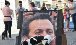 老板吃瓜吗内涵段子,职场风云再起