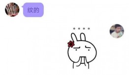 qq吃瓜记录,揭秘娱乐圈那些不为人知的幕后故事