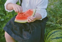 吃瓜地里的大叔