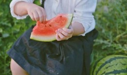 吃瓜地里的大叔