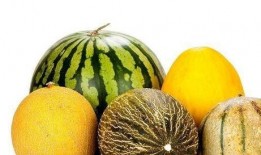 吃一生瓜有什么好处,揭秘吃瓜的五大神奇益处