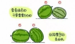 新版421吃瓜手册,揭秘娱乐圈最新八卦风云