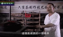 梧州吃瓜的群众,吃瓜群众的热议焦点