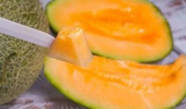 哈密瓜可以做什么吃,创意料理新主张