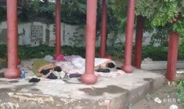 岗墩凉亭吃瓜,畅享清凉时光