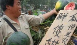 老司机的吃瓜,揭秘娱乐圈幕后真相