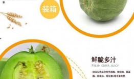 甜瓜脆瓜怎么吃,解锁夏日清新美味