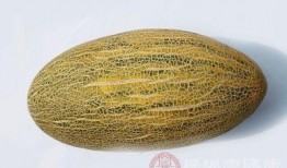 吃铁瓜好还是吃哈密瓜好,口感与营养的较量，哪一种更胜一筹？”