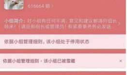 在豆瓣吃瓜是什么app,揭秘社交平台上的热门话题与趣味互动