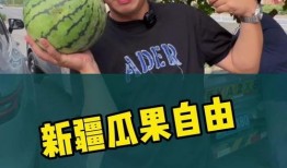 来新疆实现吃瓜自由,畅享“吃瓜自由”的甜蜜之旅