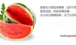 瓜禾头怎样吃,解锁传统食材的新吃法