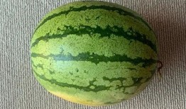 全球吃瓜事件,揭秘网络舆论的狂欢与反思