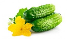 只吃瓜可以减肥,轻松享瘦——揭秘只吃瓜的神奇减肥法