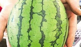 青岛吃瓜事件最新,真相发酵，网络舆论场再掀波澜