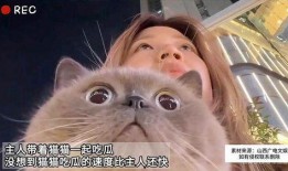吃瓜比喝水还快,吃瓜比喝水还快，揭秘瓜友们的“吃瓜”秘籍