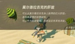塞尔达 吃瓜 任务,荒野之息吃瓜任务揭秘，探寻神秘事件背后的真相