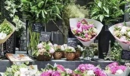 唐山花店吃瓜吃瓜视屏