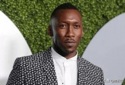 vince哥吃瓜网,揭秘娱乐圈幕后故事，带你领略明星真实生活