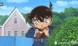 吃瓜日常柯南同人晋江,柯南同人晋江里的推理盛宴