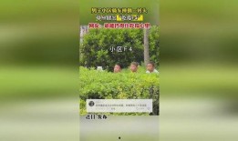 骑车吃瓜摔倒,安全骑行需警惕细节