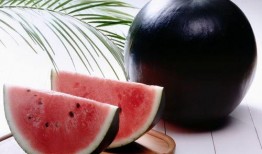 吴川有瓜吃,共享丰收喜悦