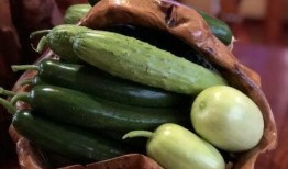 网红吃瓜爆料,娱乐圈幕后真相大曝光！