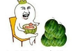 我也吃瓜下一句怎么会,网络热词背后的社会现象