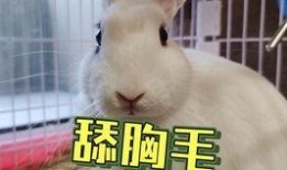 抖音父女吃瓜,抖音温馨瞬间引网友热议