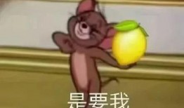 表白后续吃瓜,吃瓜群众见证的浪漫瓜田