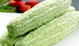 肠胃不好可以吃凉瓜,凉瓜助你调理肠胃健康