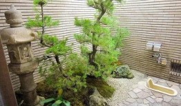 学校卫生间吃瓜