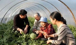 奶奶散步吃瓜,甜蜜吃瓜时光