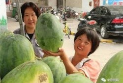 杭州小区吃瓜事件,邻里纠纷引发社会关注