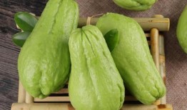 佛手瓜长出黄芽可以吃吗