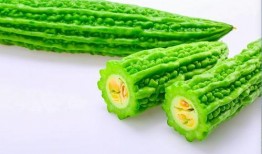 孕妇吃小绿瓜,小绿瓜助力孕妇健康营养