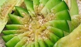山东金香吃瓜,吃瓜群众的美食盛宴