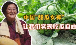 吃瓜人在线观看,揭秘娱乐圈幕后故事