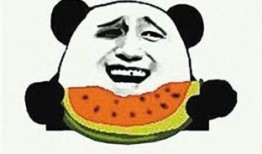 吃瓜冲天炮,揭秘网络热词背后的文化现象