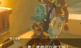 塞尔达 吃瓜 任务,荒野之息吃瓜任务揭秘，探寻神秘事件背后的真相