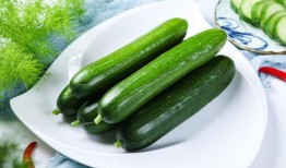 吃瓜不嫌瓜难吃,吃瓜不嫌瓜难吃的独特魅力