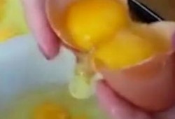 自动吃瓜机河南