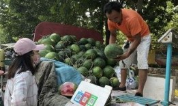 济宁近期吃瓜事件,揭秘近期网络热议事件背后的真相