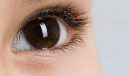 吃黄河蜜瓜眼睛模糊,却让食客眼睛模糊不已