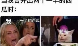 吃瓜香,探寻夏日消暑美食的奥秘