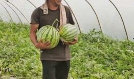 吃瓜群众企业,从幕后到台前的崛起之路