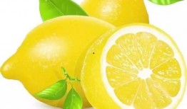 小柠檬去看吃瓜,一场吃瓜之旅的美食盛宴