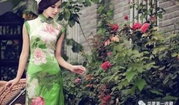 吃瓜盟主旗袍图片,吃瓜盟主演绎古典韵味