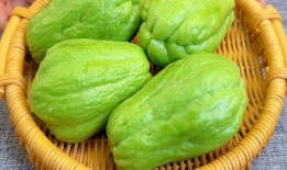 吃佛手瓜能直接吃吗,营养美味两不误