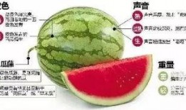 微信吃瓜骗局,警惕网络陷阱，守护你的财产安全